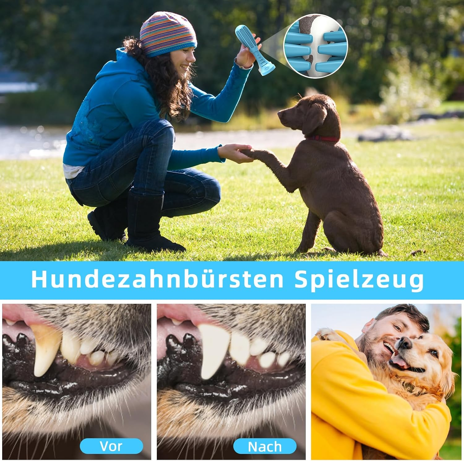 HETOO Dog Toy, Chew Toy for Dogs, Puppies, Teeth Cleaning Dog Toy for Medium Dogs, Teeth Grinding Bar, Rubber Dog Toys (Blue) image number 3