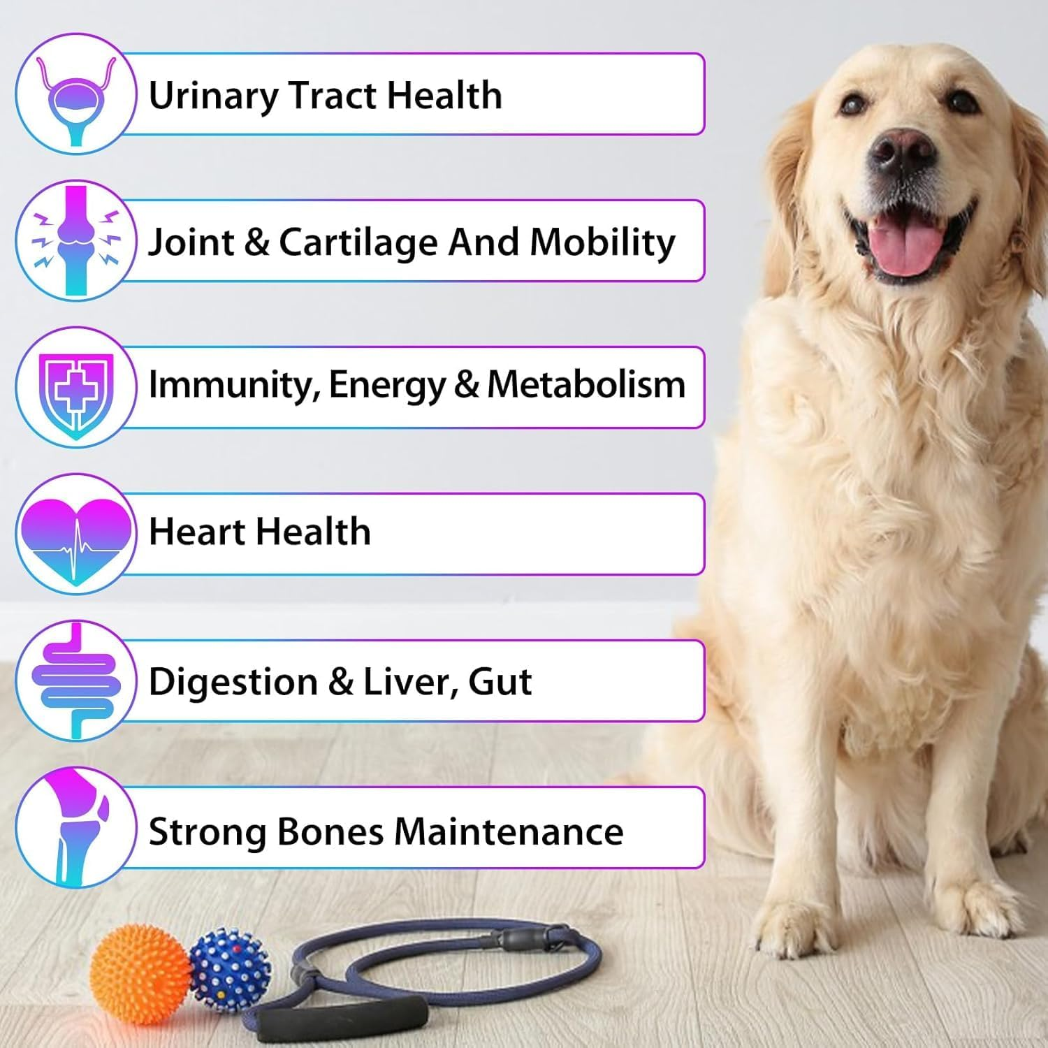 Dogs Natural Multivitamin - 15 in 1 Nutrition Vitamin Drops ● Supports Heart, Bones, Hip, Joint, Skin, Coat, Bladder, Digestive, Immune System ● Supplement with Bacon Flavor ● 60Ml