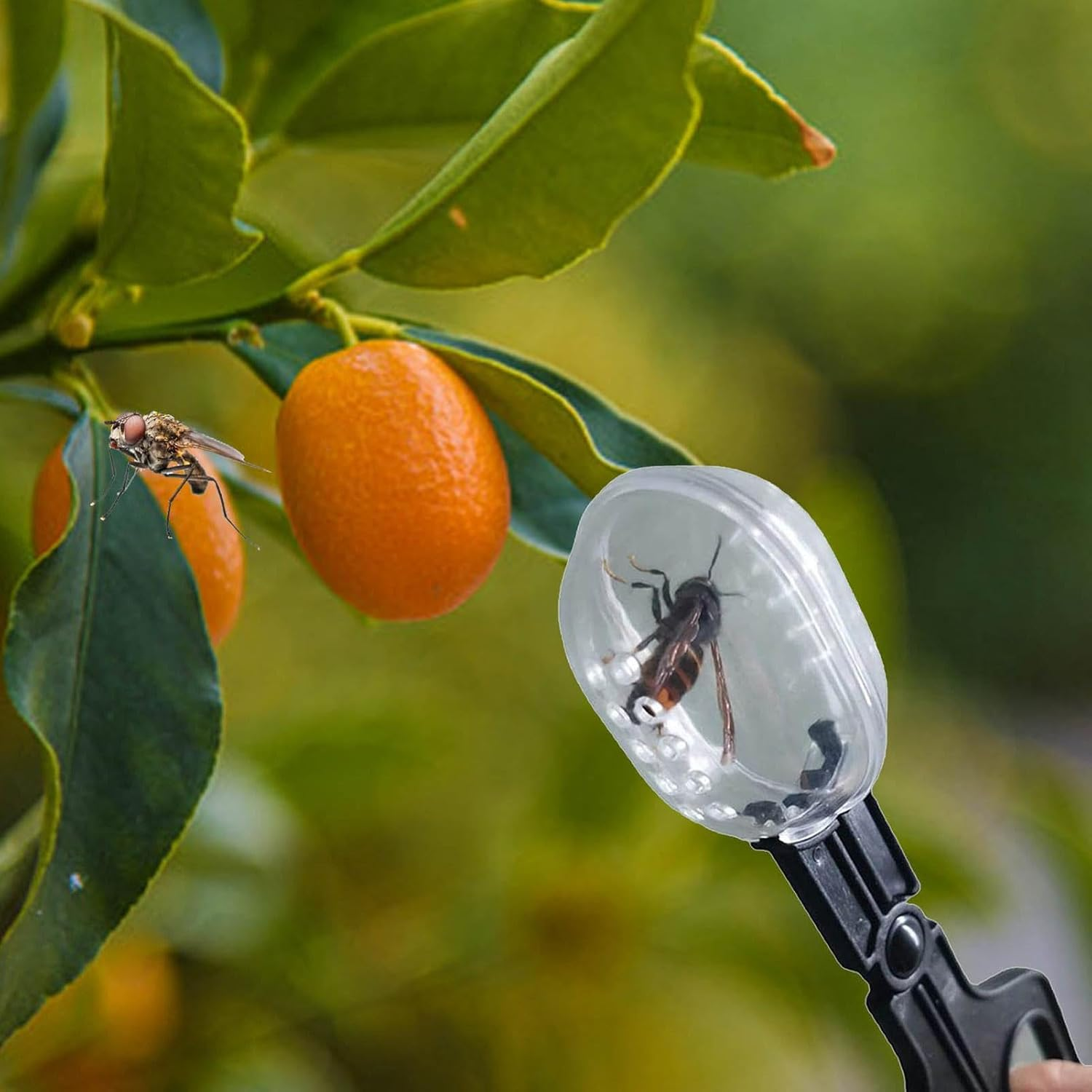 Queen Clips for Bees - Beekeeping Tools Reusable Queen Bee Catcher,Lightweight Beekeeping Supplies Catching Tool for Beginners Professionals