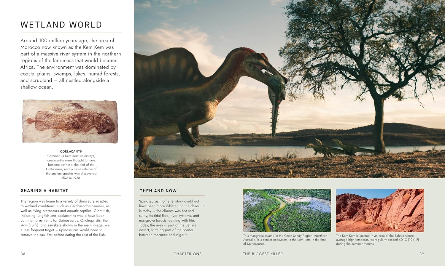 BBC Walking with Dinosaurs: Uncovering the Secret Stories of Prehistoric Life image number 6