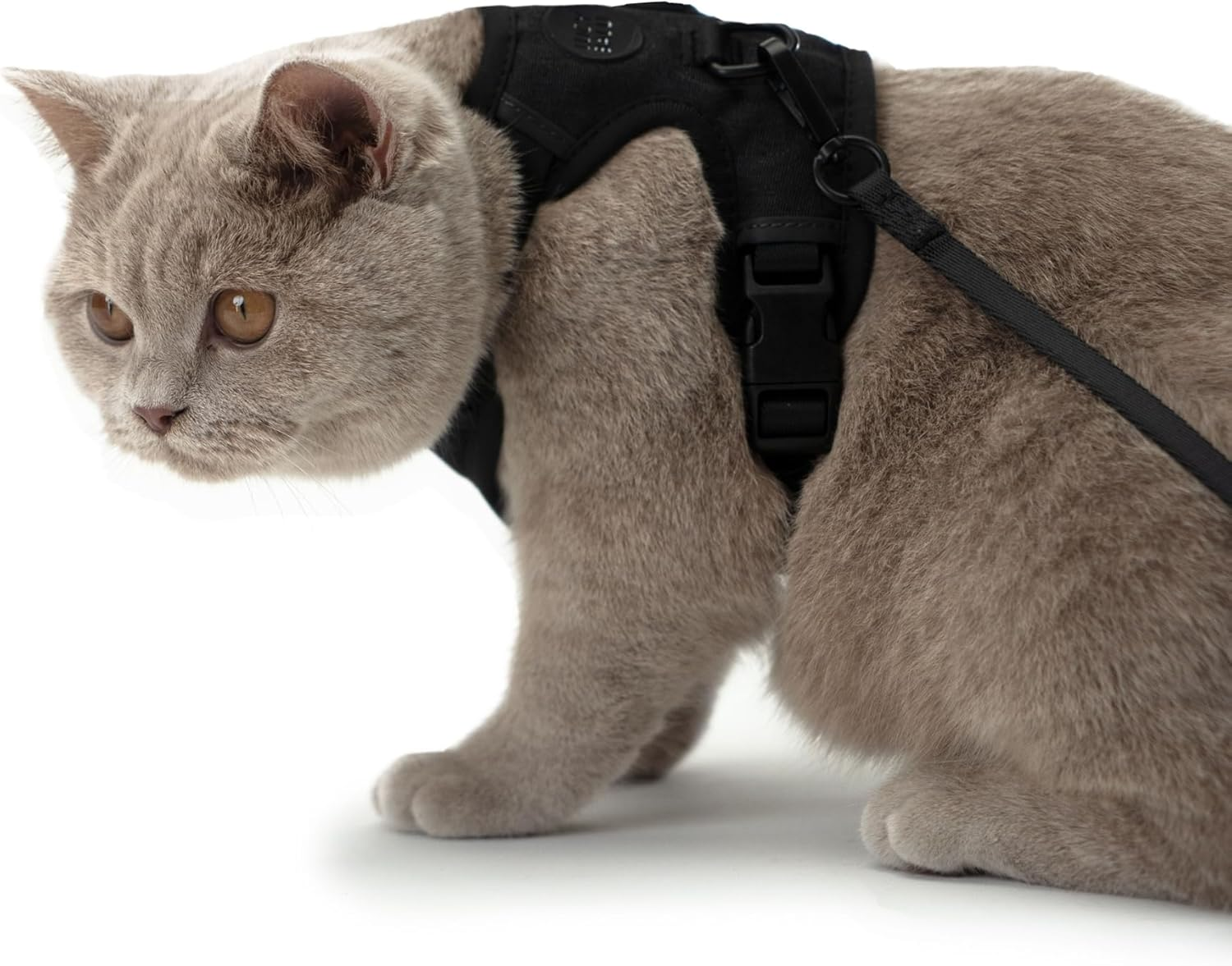 Lucybalu&reg; Explorer Cat Harness with Lead, Escape Proof Cat Harness with Airtag Compartment, Cat Chest Harness with Cat Lead, Safety Harness with Lead for Cats, Black, M/L image number 6