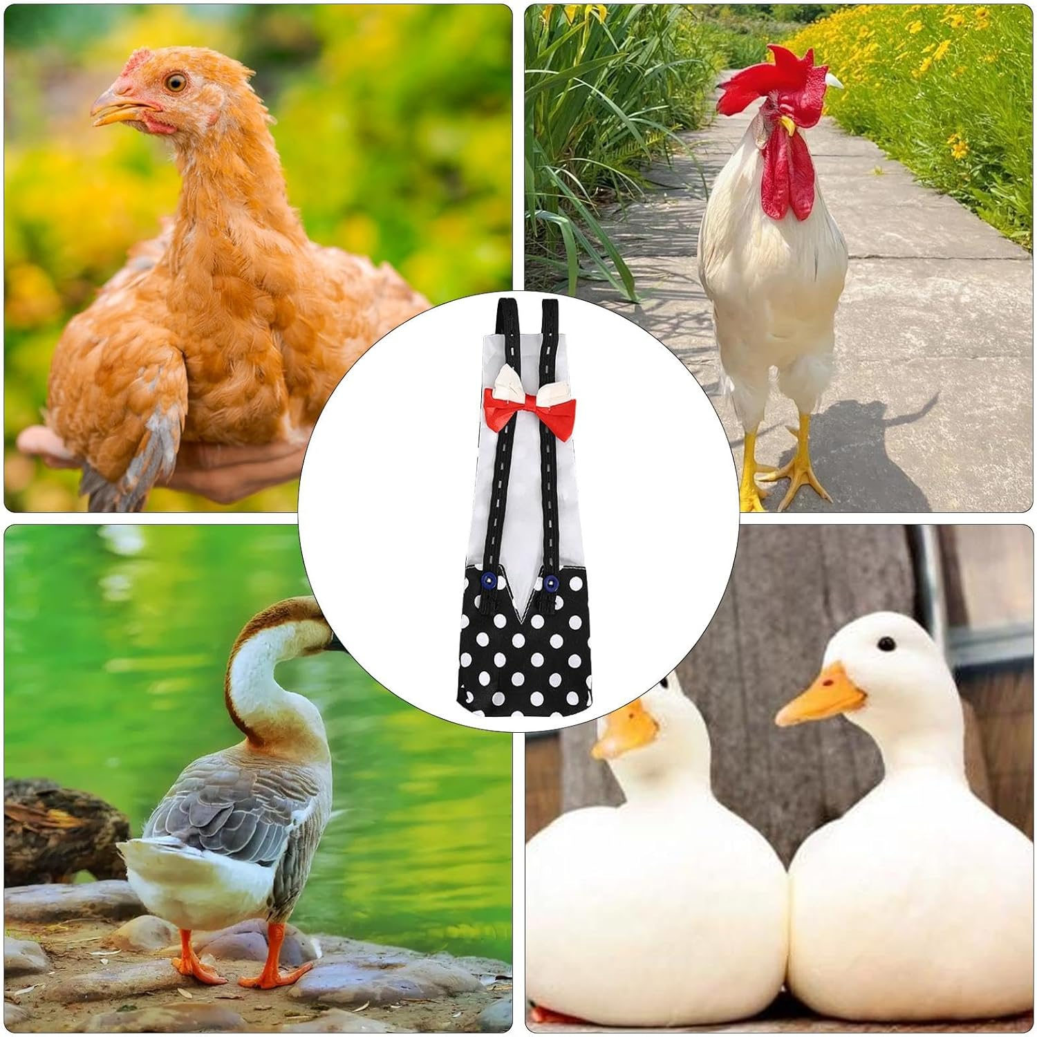 Chicken Nappies, Nappies for Ducks, Poultry Nappies for Pets, Adjustable Duck Nappies, Washable Chicken Nappies, Reusable Nappies for Poultry, Chicken and Duck Supplies image number 3