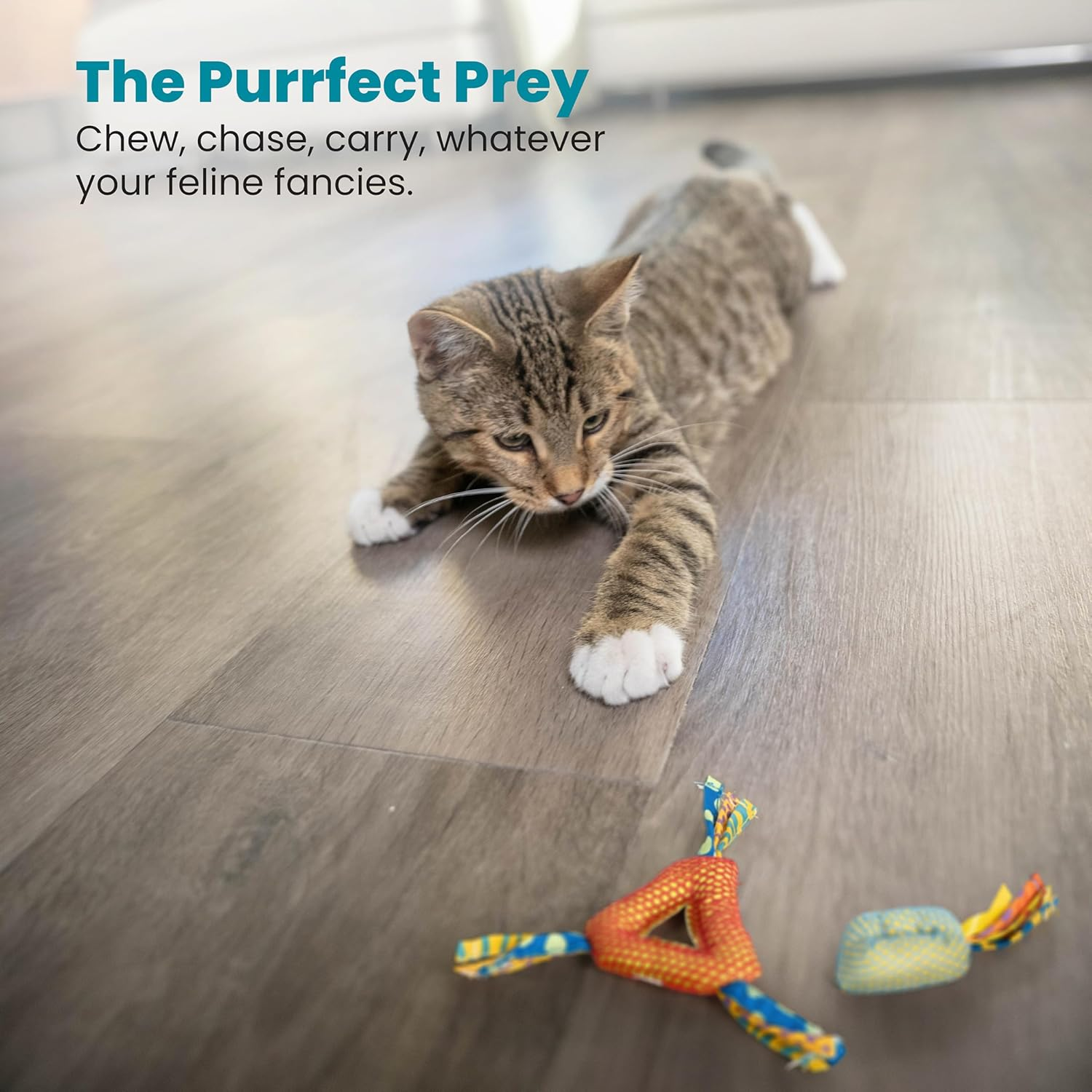 Petstages 326 Dental Health Chews Cat Toy Black & Grays 0.4 Inches X 1.2 Inches X 3.5 Inches