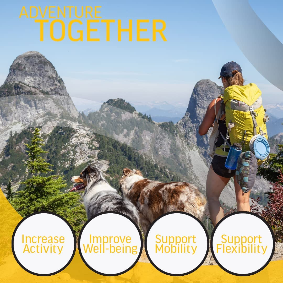 Pets Beef Bone Broth Concentrate - Perfect for Hydration, Increase of Protein, Shinier Fur Coat. 350Gram