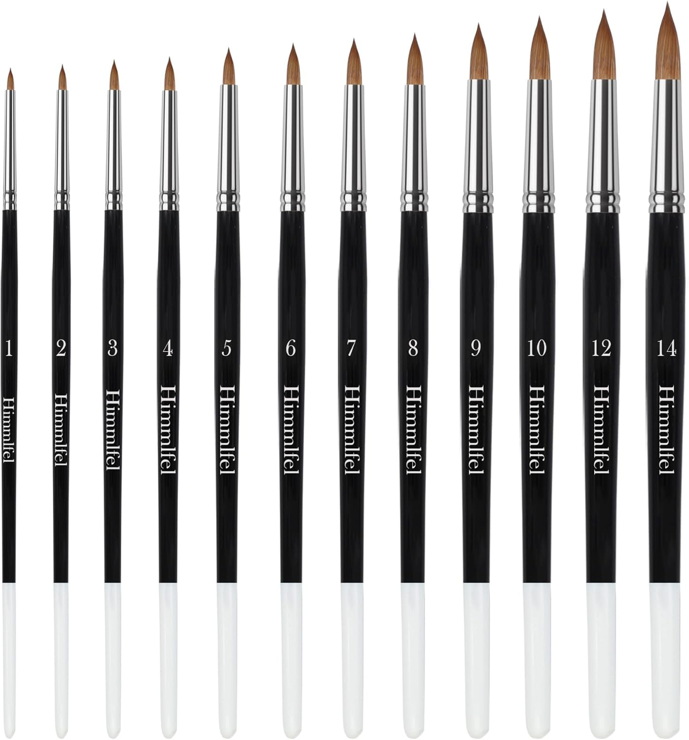 Himmlfel round Pointed Tip Paint Brush Set, 12 Pcs round Pointed Tip Paint Brushes for Painting Details, Thin to Thick Lines and More, for Acrylic, Watercolour, Oil and Gouache Painting image number 4