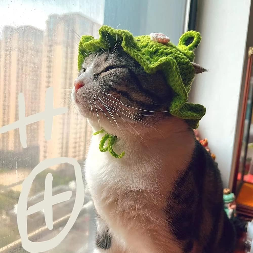 A Super Cute Knitted Frog Hat,Perfect for Cats and Dogs to Cosplay. Dress up Your Furry Friend image number 1
