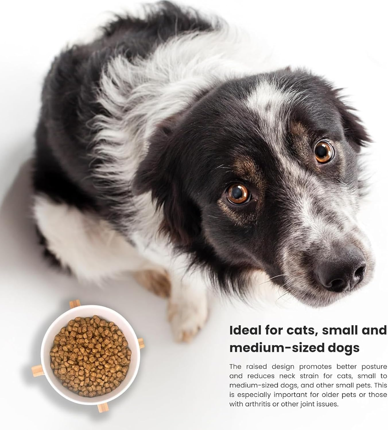 Ceramic Cat Bowl,Small Dog Food Bowl,With Wood Stand Non-Slip,Double White Bowls,Ceramic Bowl for Food and Water (800Ml/27Oz) image number 5