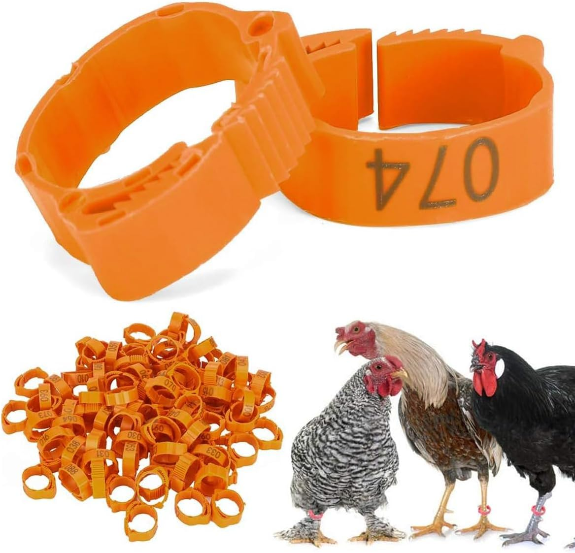 AIMALL 100Pcs Adjustable Numbered Poultry Leg Rings 001&ndash;100 Snap Lock ID Bands 0.71&ndash;1.02In for Chicken Duck Goose Pigeon Lightweight Plastic Bird Tags