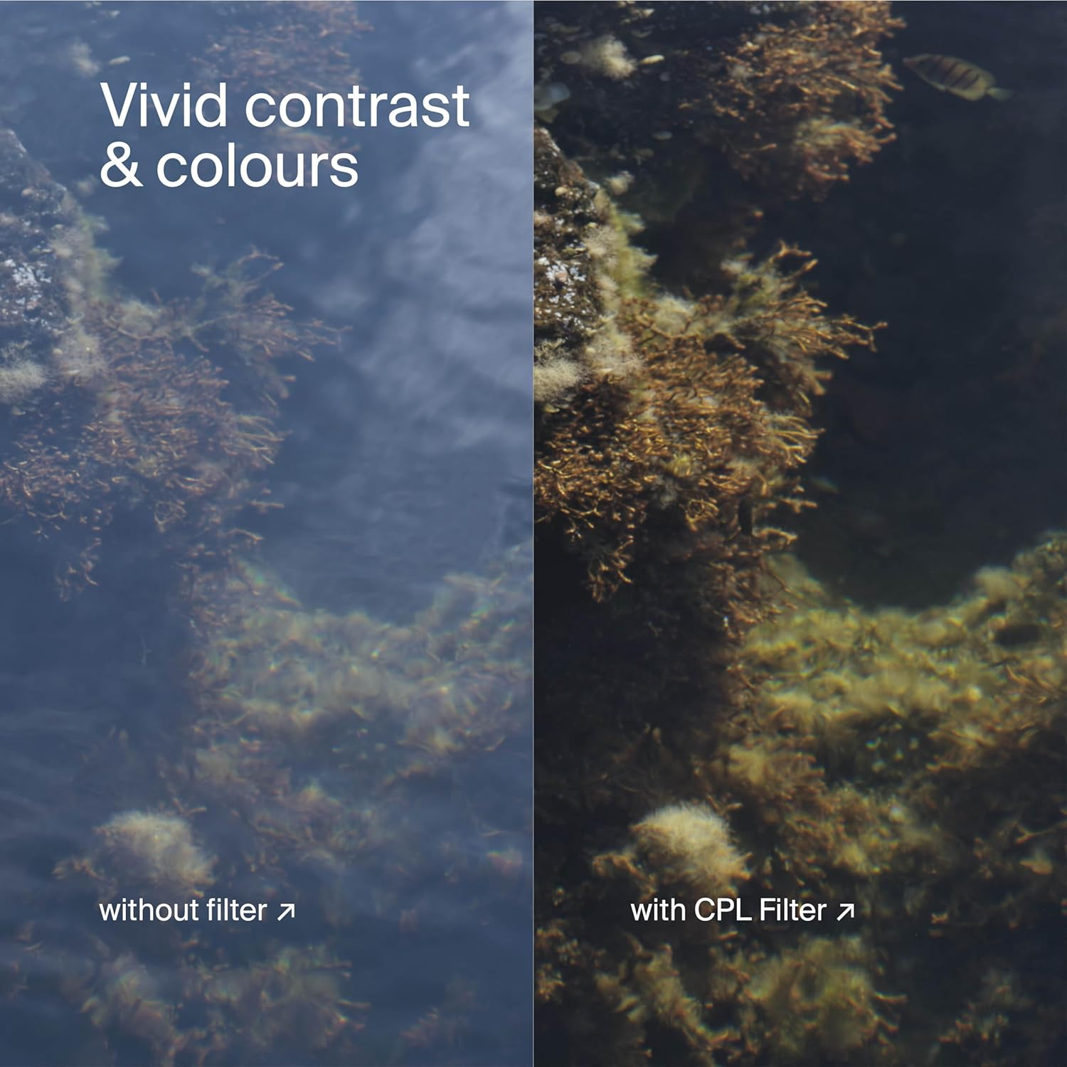 Urth 55Mm Circular Polarizing (CPL) Lens Filter - Multi-Coated, Slim Design for Camera Lens Polarization image number 1