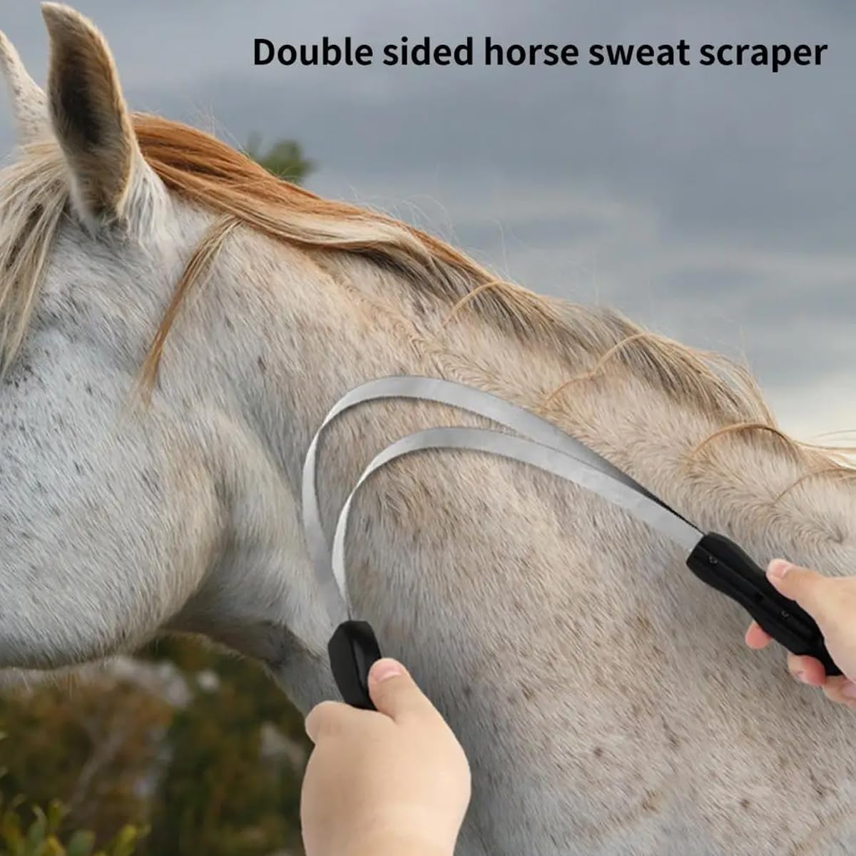 Heavy-Duty Serrated Horse Sweat Scraper | Double-Sided Grooming Tool for Horses and Large Animals | Equestrian Supplies for Mud and Hair Removal