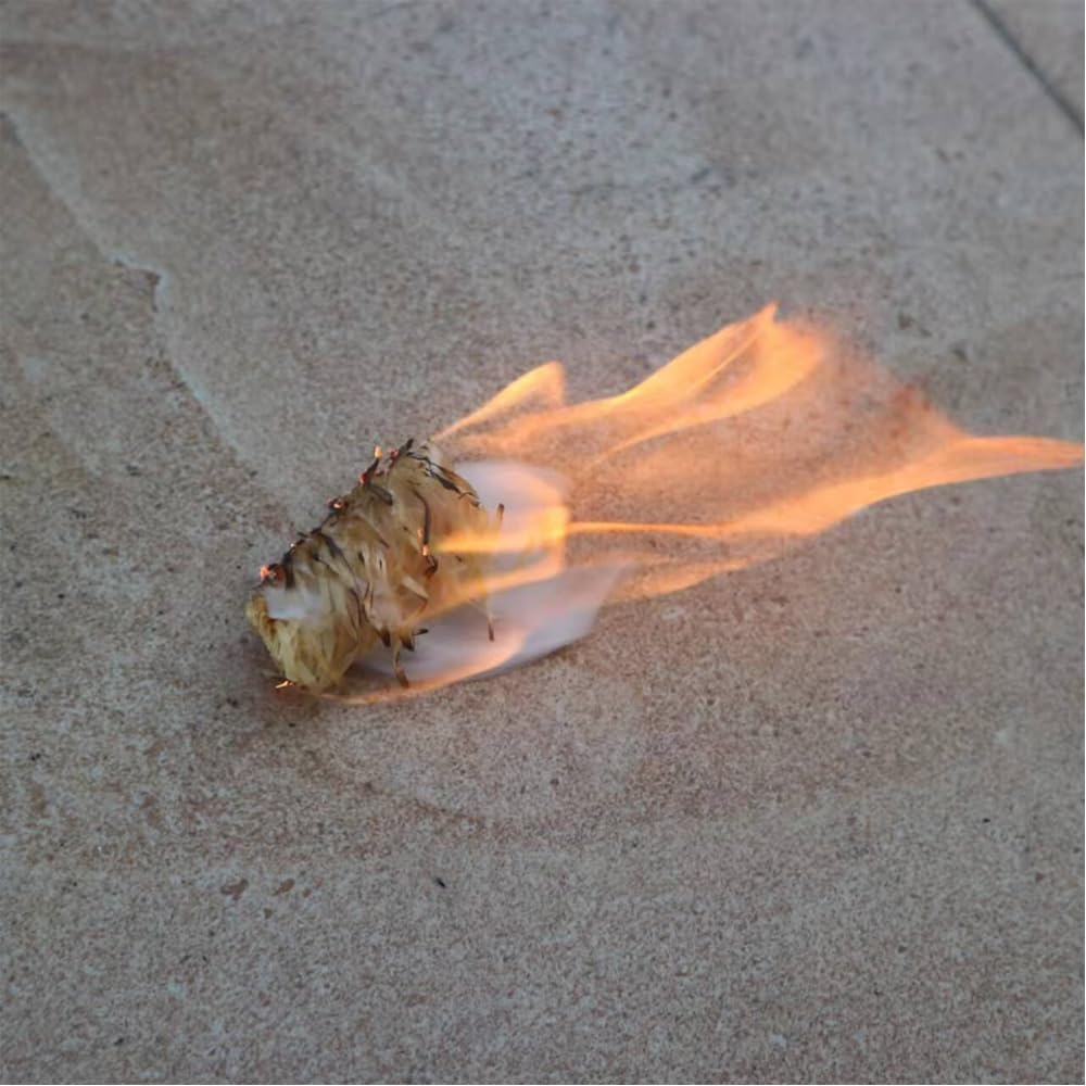 100PCS Fire Starters, Natural Charcoal Fire/Eco Friendly Wood Firelighters/Quick Wax Flame Fire Starters for BBQ, Barbecue Grills, Wood Stove, Smokers, Campfires and Outdoor Fireplaces image number 4