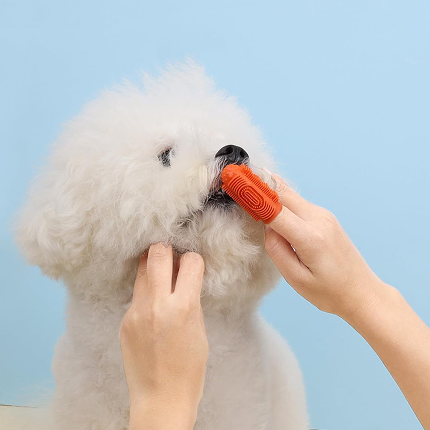 Pack of 10 Dog Toothbrush Dog Finger Toothbrush 360&ordm; Surround Toothbrush Cleaning Toothbrush for Dogs Cats Silicone Pets Finger Teeth Brush for Dental Care Oral Hygiene Orange image number 3