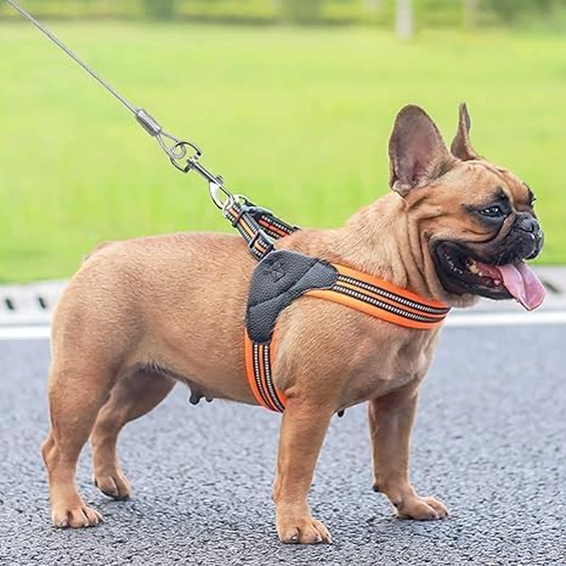 Dog Lead for Large Dogs Dog Lead with Spring Yard Lead for Large Dogs Tie-Out Leads for Dogs Tie Out Cables Tie-Out Leads Yard Lead for Dogs for Small Medium or Large Dogs image number 1