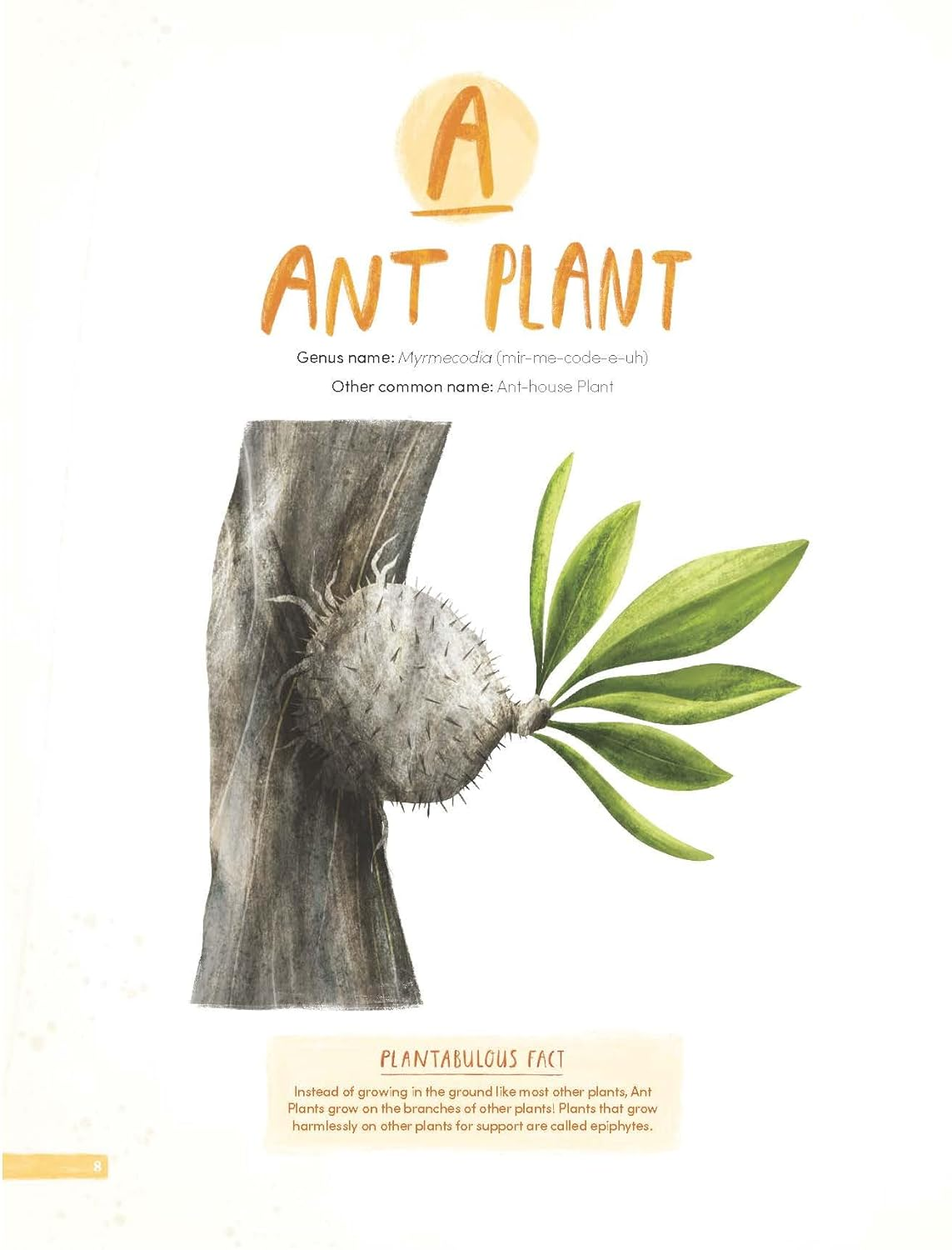 Plantabulous!: More a to Z of Australian Plants