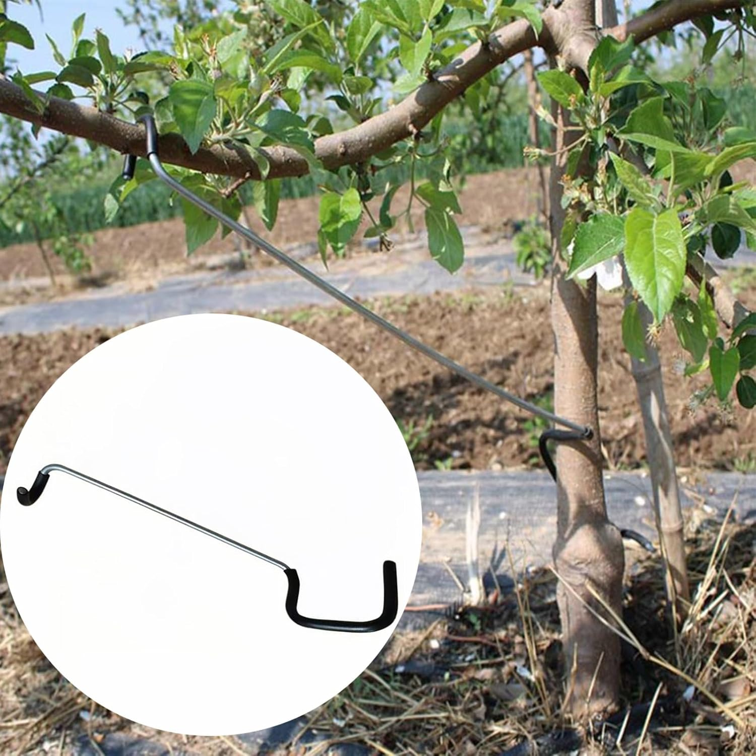 Fruit Tree Branch Spreader 20PCS Fruit Trees Limb Spreader Versatile Durable Solution for Tree Support Branches Extension (7 Inches)