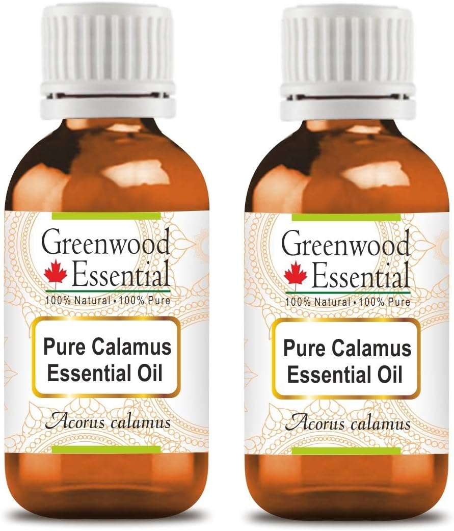 Greenwood Essential Natural Squalane Oil (Derived from Olives)| Infused | Pure | Non-Sticky | Lightweight | for Hair Care Routines | Men & Women | Traditional Use | Natural | 15Ml X 2 (1 Oz) image number 2