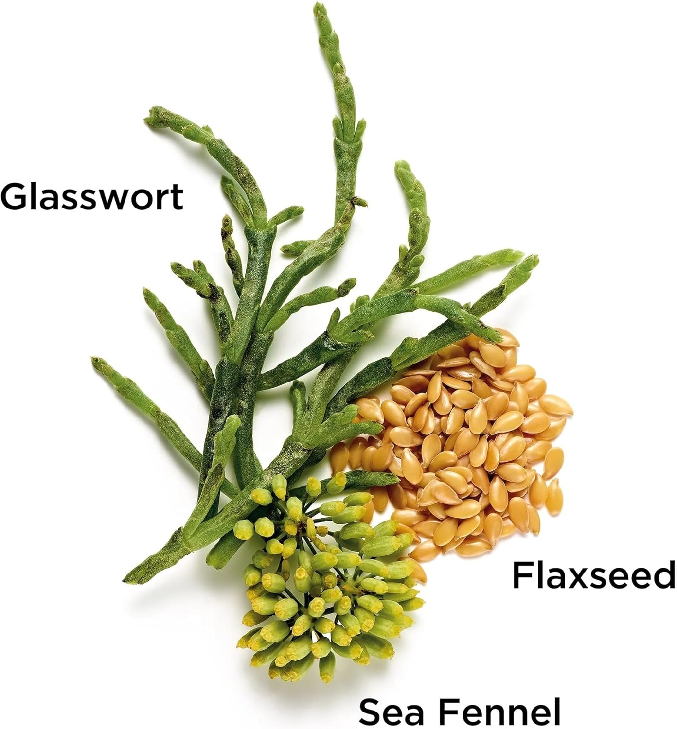 Elizabeth Arden Superstart Skin Renewal Booster image number 5