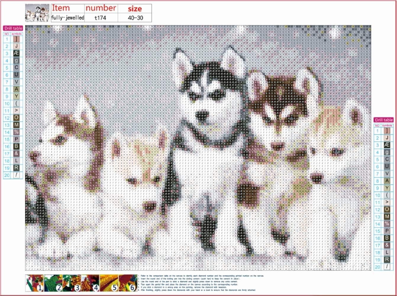 New 5D Diamond Painting Kits for Adults Kids, Awesocrafts Husky Dogs and Snowflakes Full Drill DIY Diamond Art Crystal Rhinestone Paint by Diamonds Cross Stitch (Husky) image number 3
