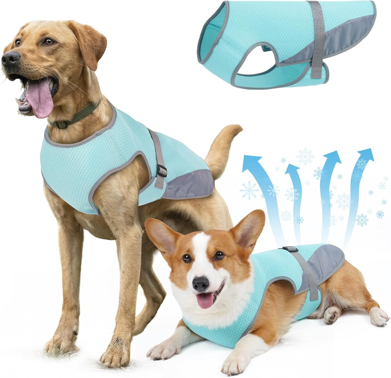 Dog Cooling Vest for Summer,Frenchie Cool Vest for Dogs (11Lb-77Lb) Body Cooling with Uv Protection Breathable Mesh,Cooling Shirt for Cavoodle,Labrador,Border Collie (Grey, XL)