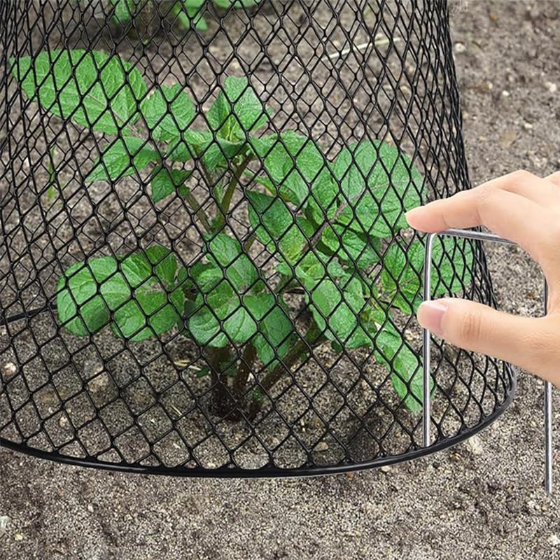 5 Pcs Chicken Wire Plant Covers Protectors from Animals, Metal Mesh Plant Cage, Large Garden Cloches Plants for Plants Cages Cover Plant Protectors from Animals in Outdoor Vegetable Garden image number 2