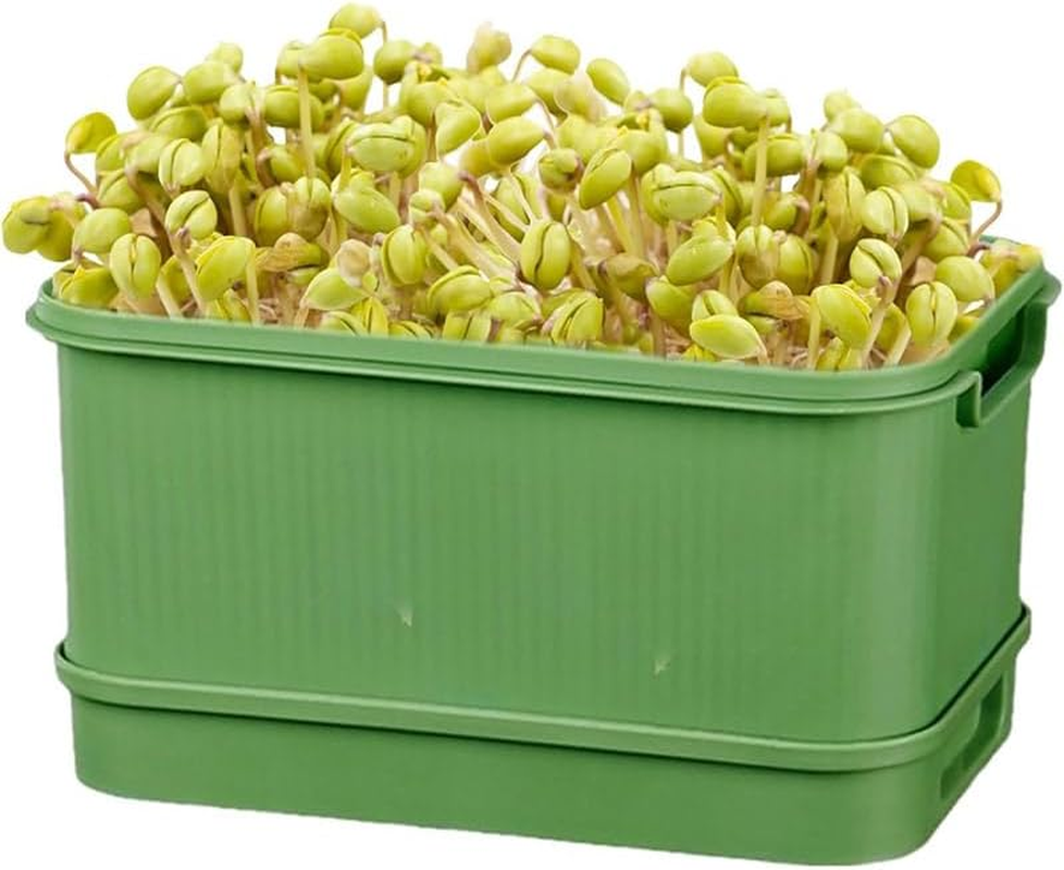 AIMALL Soilless Hydroponic Seedling Tray &ndash; Self-Watering Sprout Tray for Indoor Herb & Vegetable Planting, Double-Layer Design with Visible Water Reservoir - Green image number 3