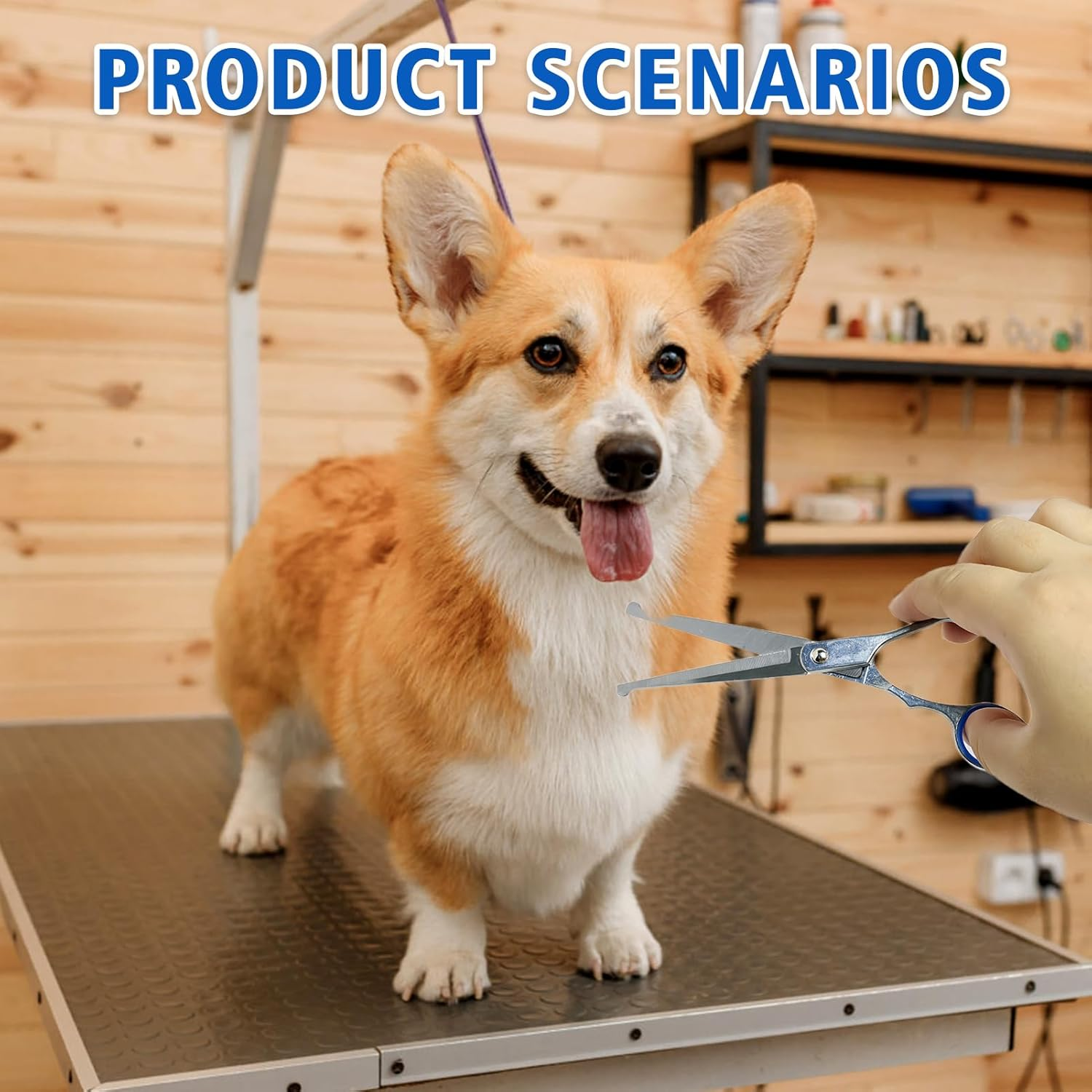 Scissors Hair Cutting Scissors for Dogs Dog Scissors Fur Scissors Professional Fur Scissors Safe Scissors with round Head and Curved Cutting Surface for Grooming Dogs, Cats and Pets image number 1