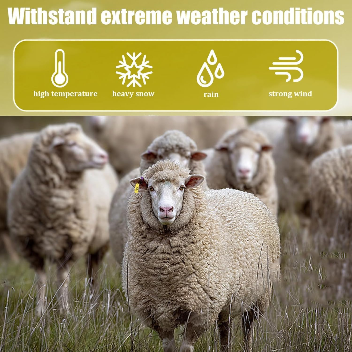 100 Pcs Durable Yellow Livestock Ear Tags Numbered 1-100 with Vibrant Color and Printed Words for Cattle, Sheep, Pigs image number 2