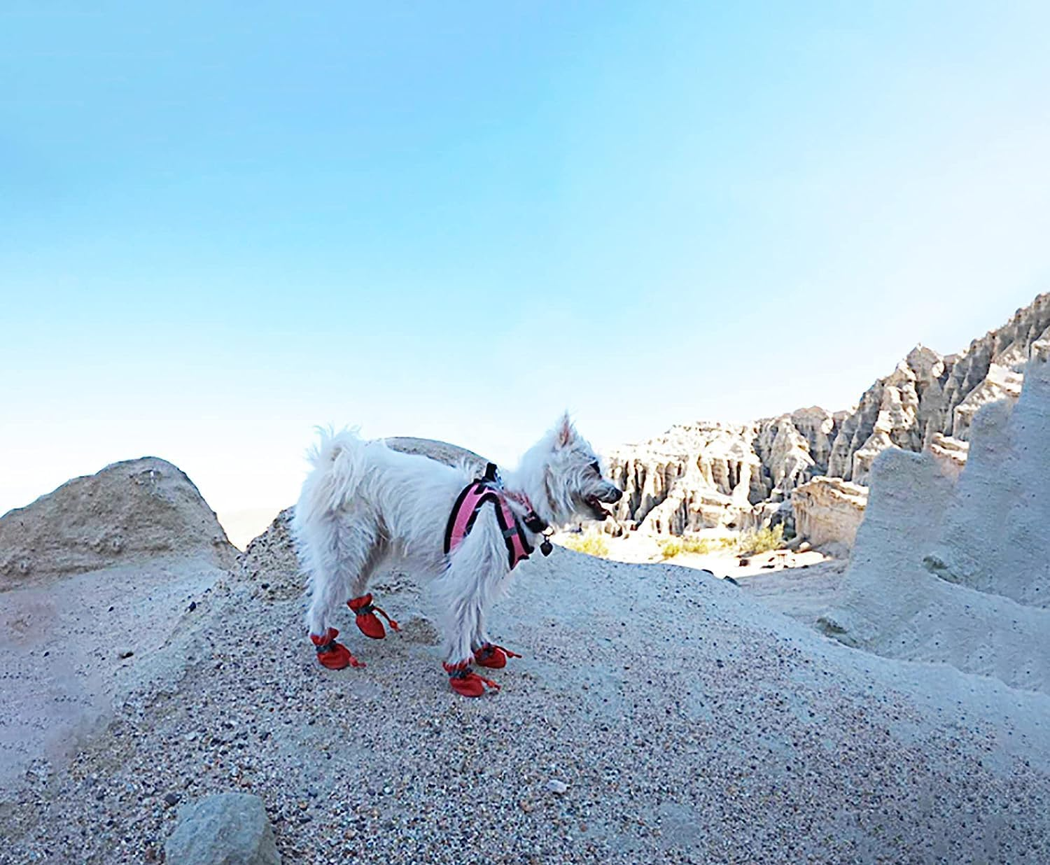 YAODHAOD Dog Boots Paw Protector, Anti-Slip Dog Shoes，These Comfortable Soft-Soled Dog Shoes Are with Reflective Straps, for Small Dog (6, Red) image number 4