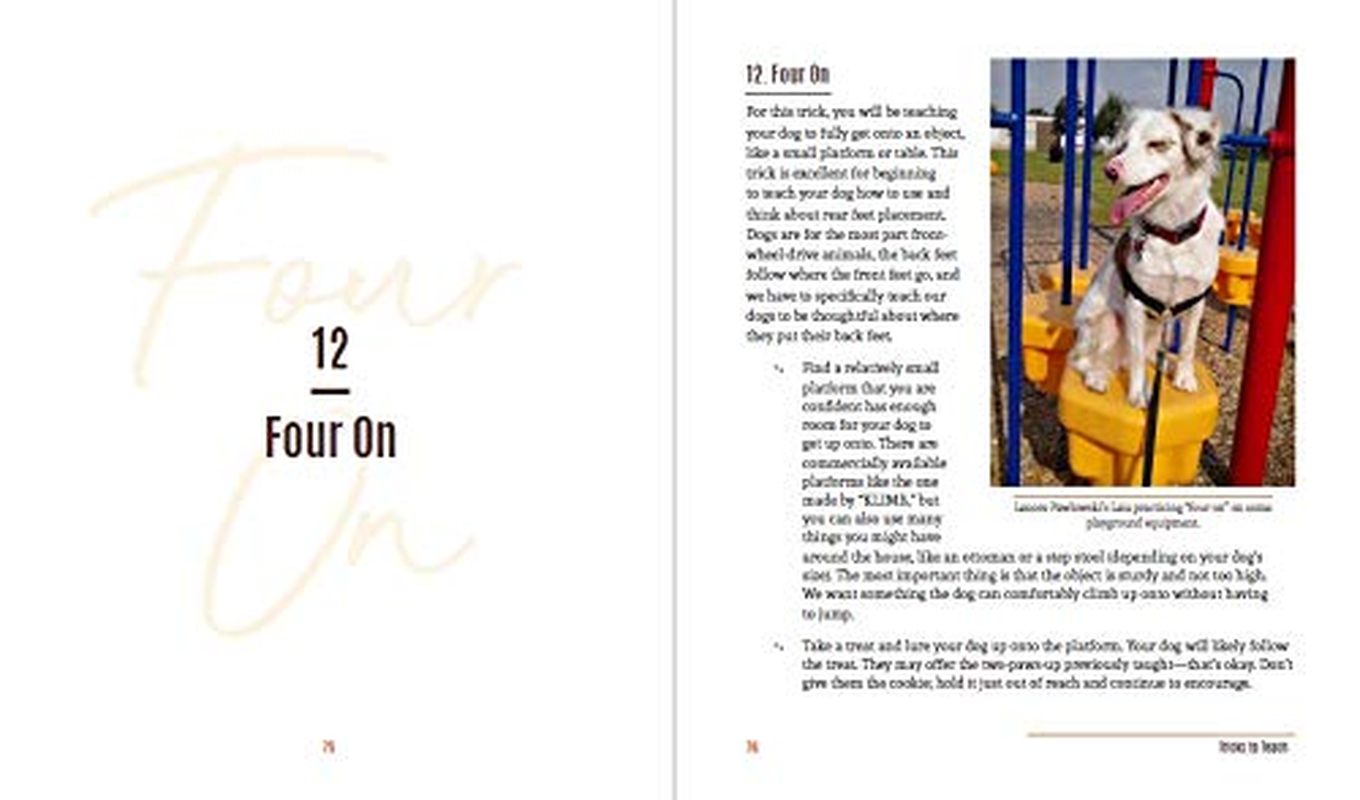 Tricks in the City: for Daring Dogs and the Humans That Love Them (Trick Dog Training Book, Exercise Your Dog) image number 1