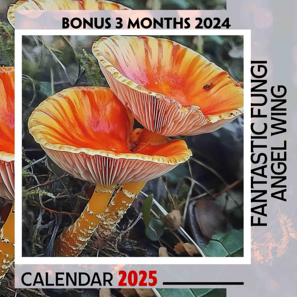 Fantastic Fungi Angel Wing Calendar 2025: 15 Months of Magical Mushrooms October 2024 to December 2025 Capturing the Beauty of Angel Wings in Nature ... in Large Size 8.5 X 8.5 Ideal Gifts