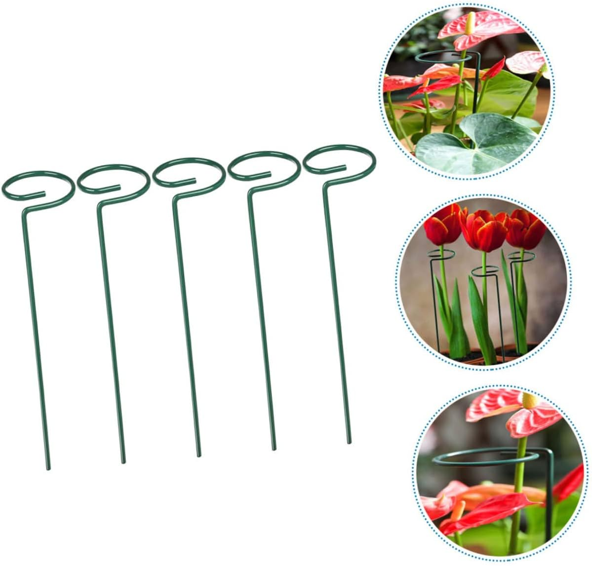 5Pcs Garden Plant Support Stakes Single Stem Support for Hydrangea Plant Stands Height for Orchids and Flower Growth Stabilization image number 5