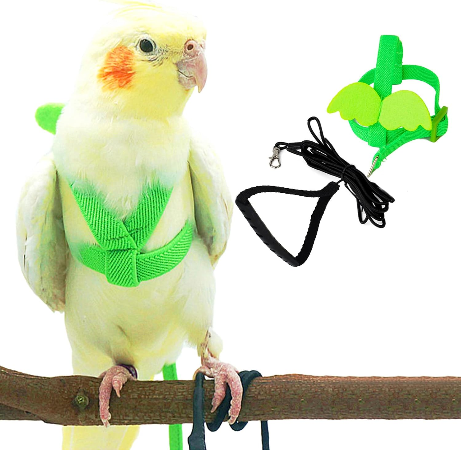 Dnoifne Parrot Bird Harness and Leash, Adjustable Training Design, Anti-Bite Nylon Rope with Cute Wing, Suitable for Alexandrine, Scarlet, Keck, Mini Macaw & Same Size Bird (Pink)