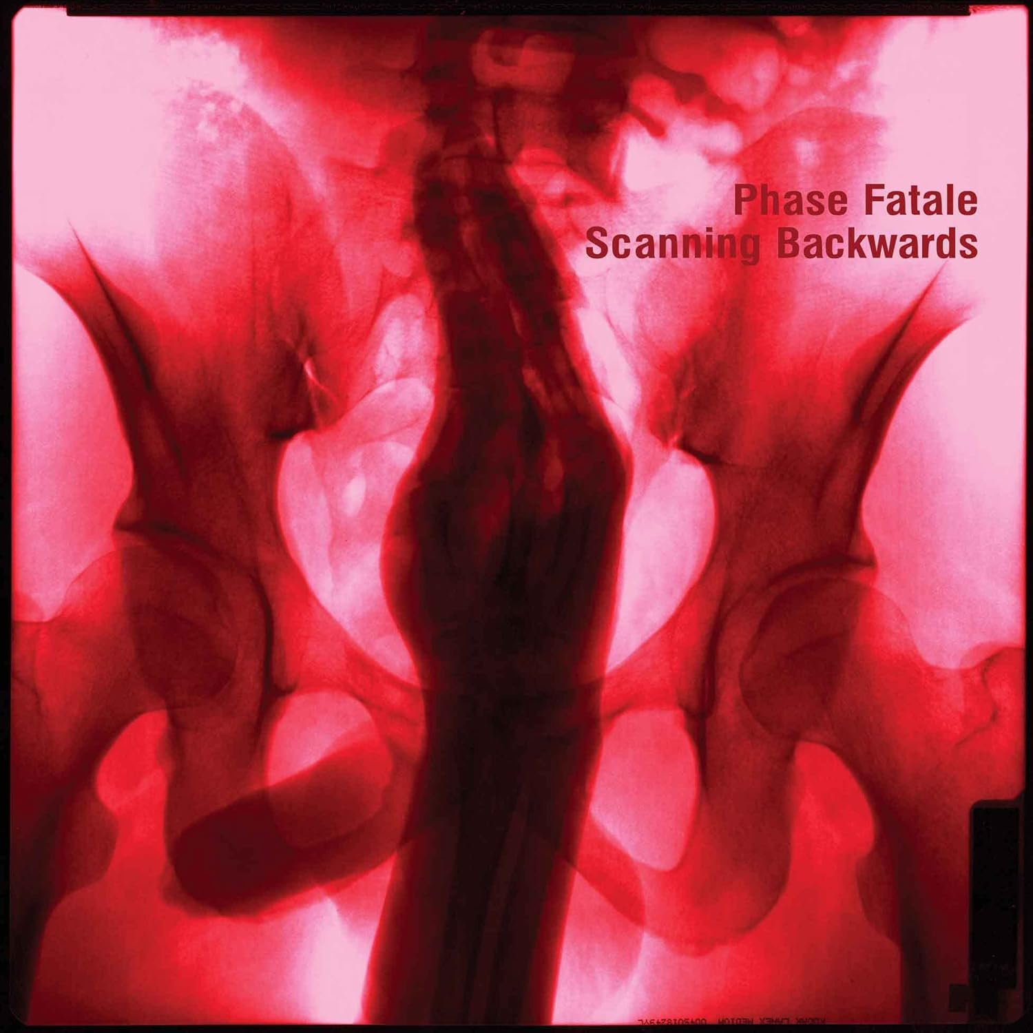 Scanning Backwards (2LP)