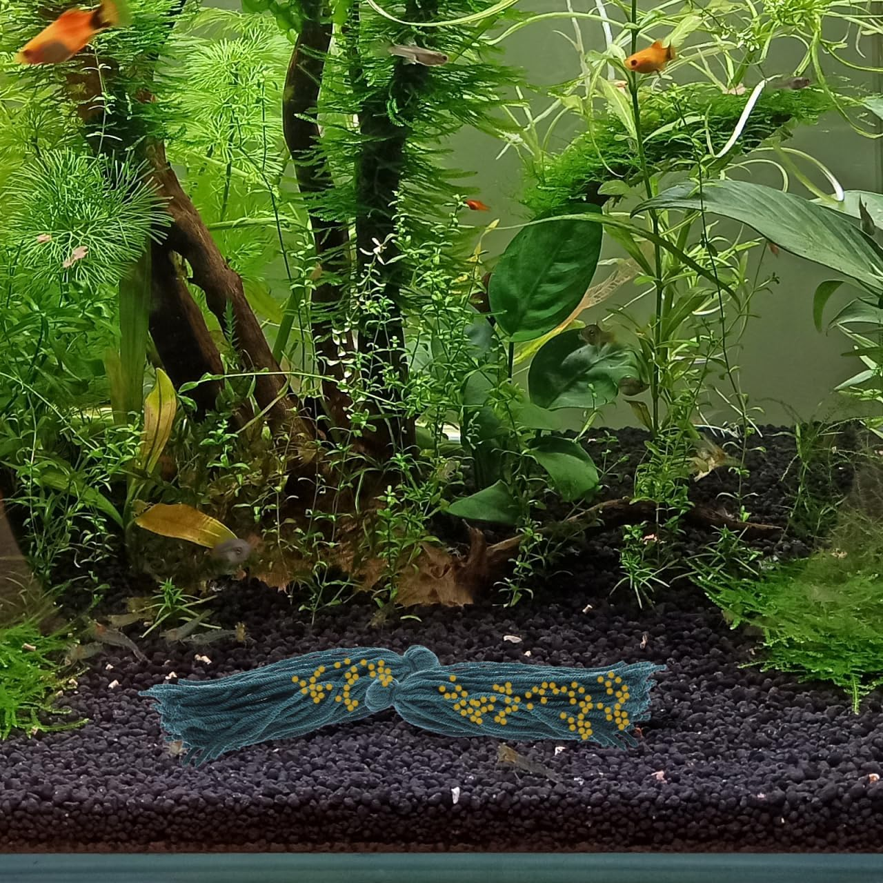 INOOMP Fish Spawning Mop for Aquarium Breeding Floating and Sinking Angelfish Egg Laying Mop with Natural Substrate for Fish and Shrimp 5 Pieces 5.12X1.57X1.18In image number 4