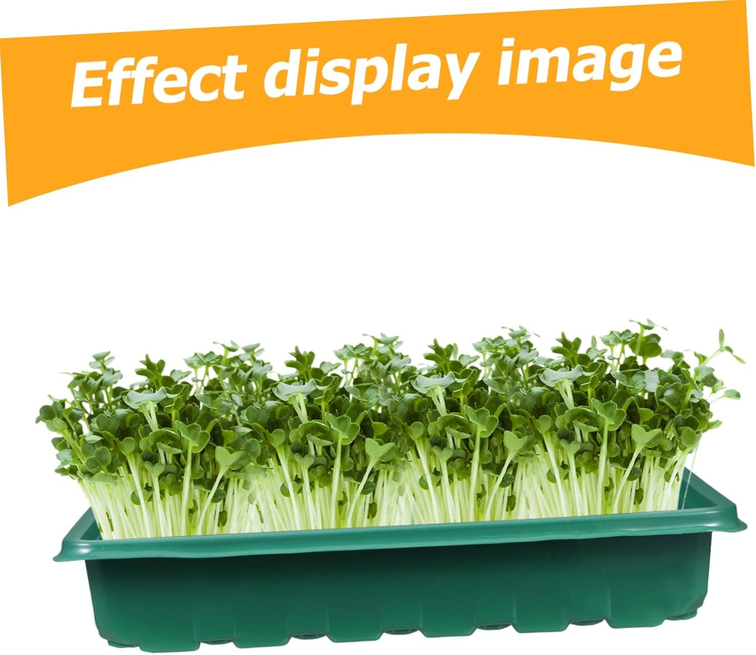 CANIGHT Plant Growing Tray Ventilated Design for Germination Nursery Supply for Indoor and Outdoor Gardening for Flowers Fruits and Vegetables