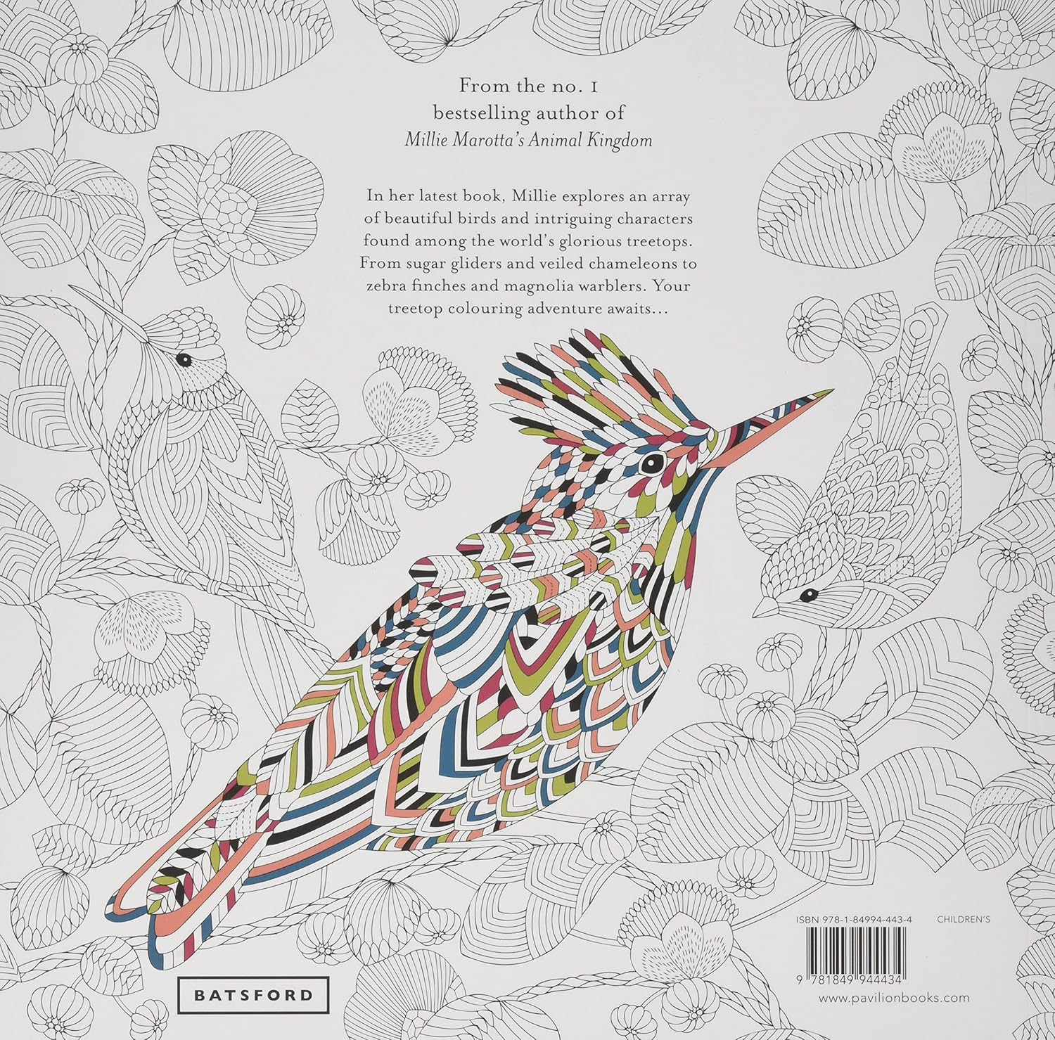 Millie Marotta'S Beautiful Birds and Treetop Treasures: a Colouring Book Adventure: Volume 5 image number 1