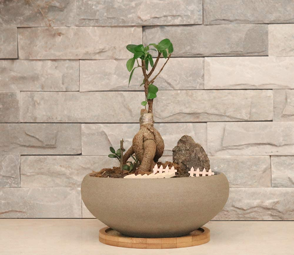 MUZHI round Unglazed Ceramic Bonsai Pot with Bamboo Tray, Large Rough Pottery Succulent Planter with Drainage Hole 8 Inch &hellip; image number 4