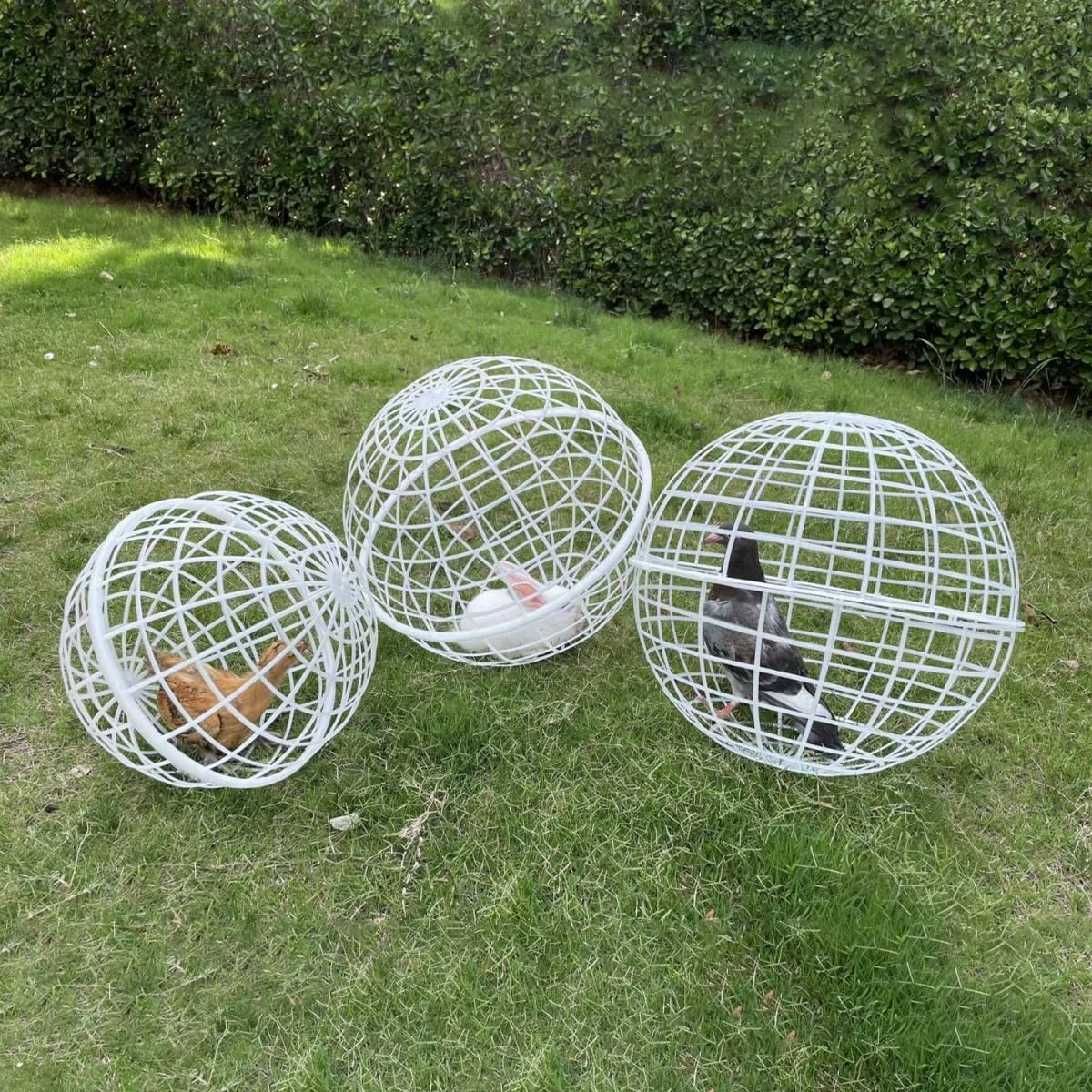 AIMALL Rollable Sphere Cage for Small Animals, Versatile Mobile Enclosure for Chickens, Rabbits &ndash; Includes Zip Ties, 7.87In Diameter, 2-Pack image number 5