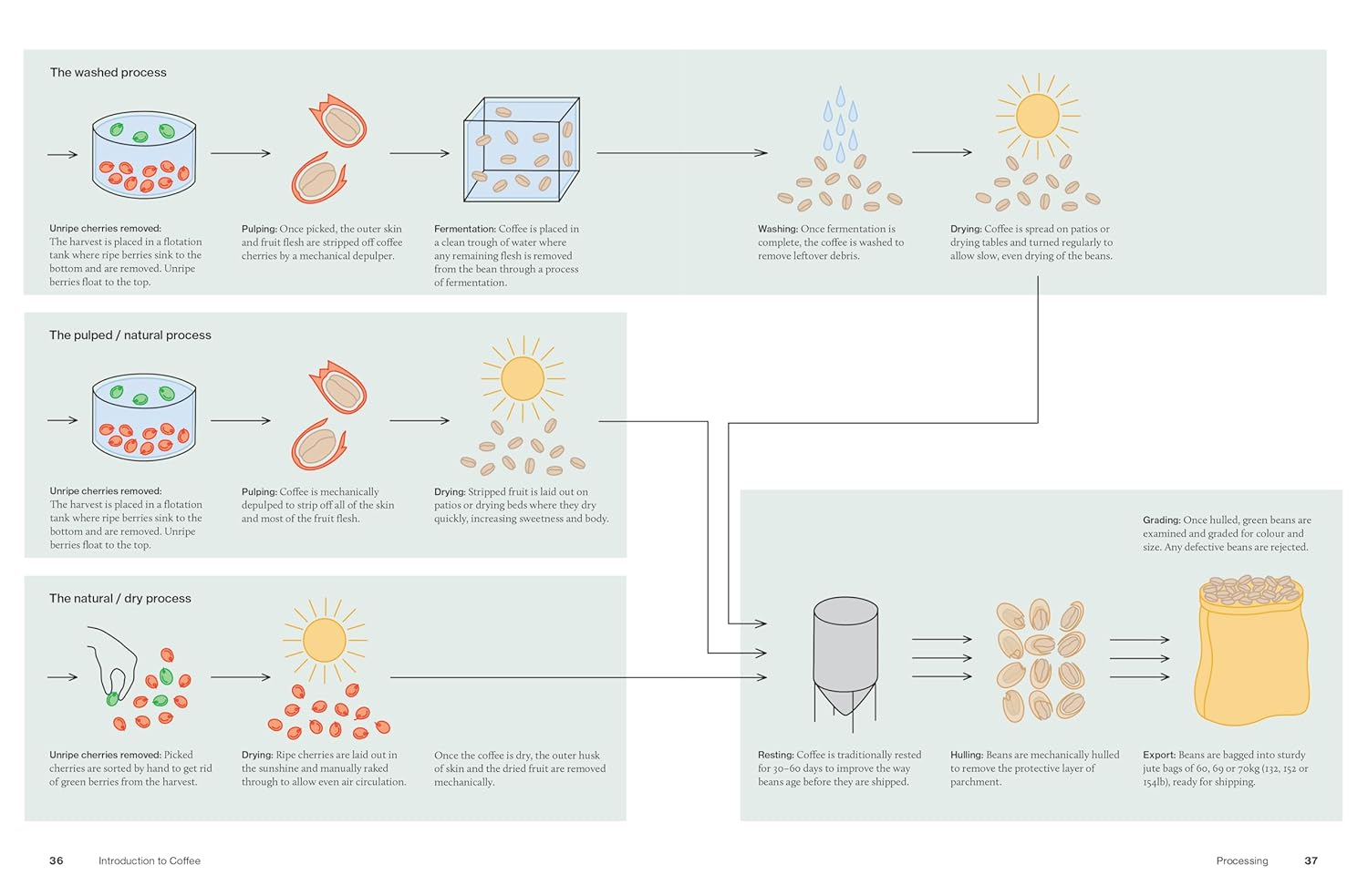 The World Atlas of Coffee 3Rd Edition: from Beans to Brewing Coffees Explored, Explained and Enjoyed