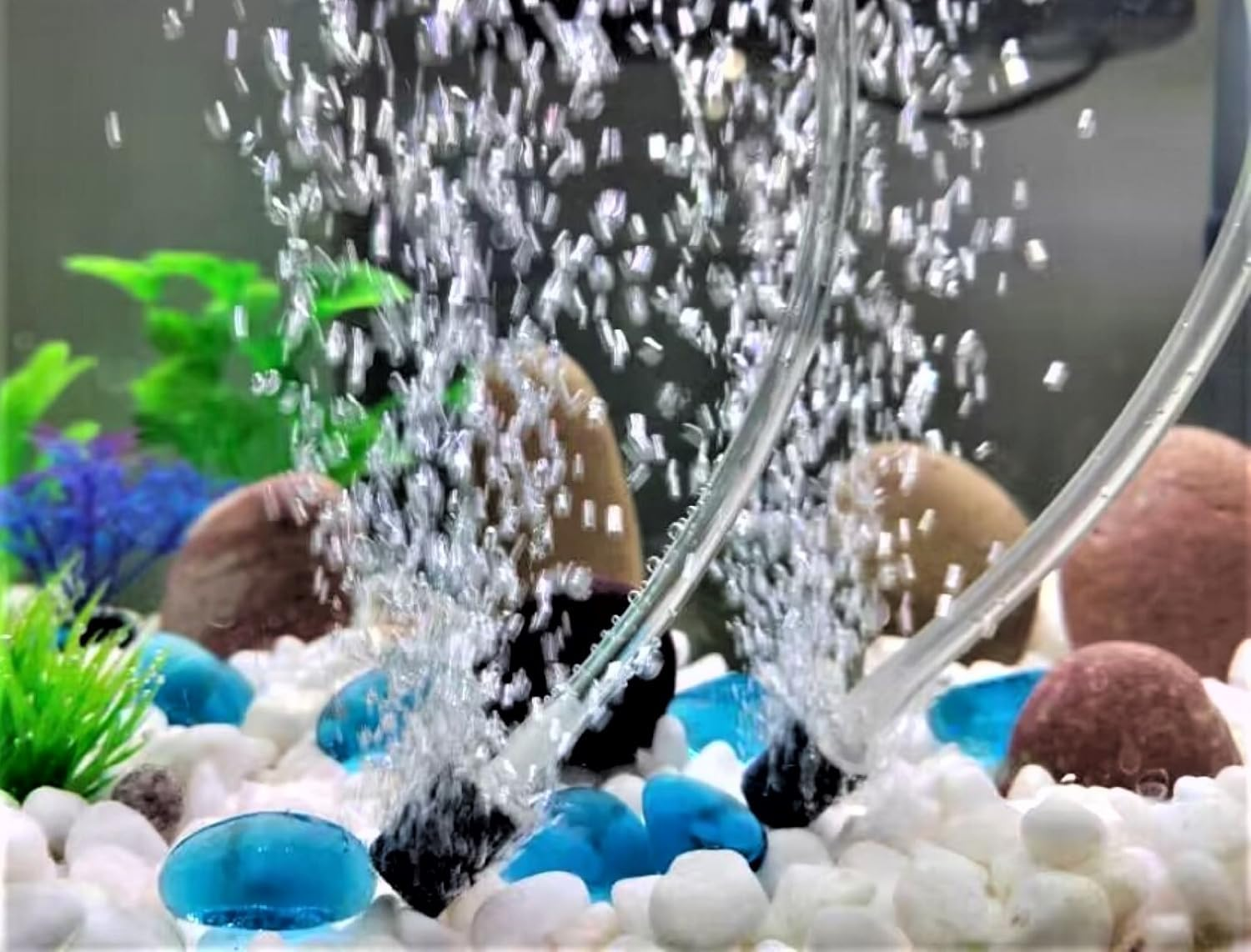 AQUANEAT Aquarium Air Stones 0.6 Inch 12Pack, Bubble Stone, Fish Tank Airstones, Aerator Stone Bubble Diffuser, Air Pump Accessories for Aquariums, Fish Tanks, and Hydroponics image number 3