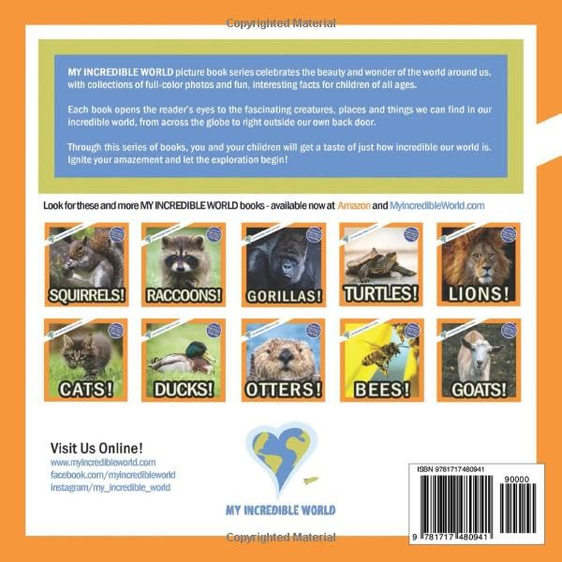 Horses!: a My Incredible World Picture Book for Children: Volume 7 image number 1