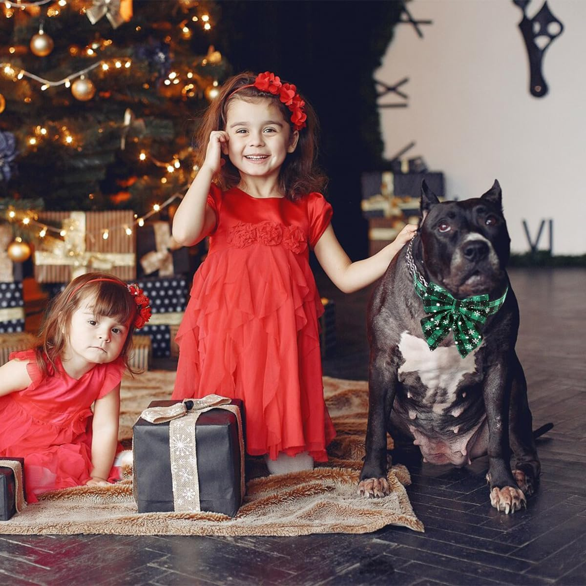 O-Kinee Christmas Dog Collar, Christmas Collar Dog, Cat Collar with Bow, Bow Tie for Dogs, Cute Checked Pattern, Dog Christmas Costume, Pet Collar for Kittens and Dogs (L) image number 1