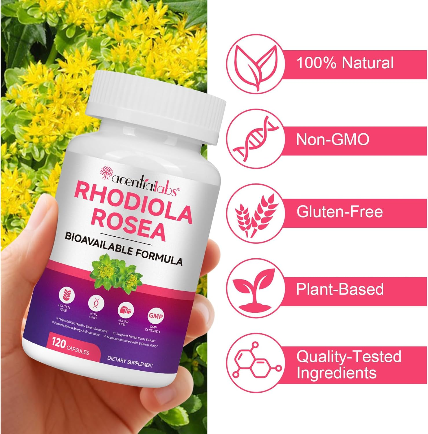 Rhodiola Rosea Extract 500Mg | Standardised Botanical Formula | Daily Herbal Supplement | 4 Month Supply | 120 Capsules image number 2