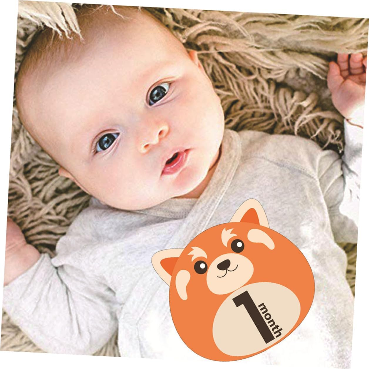 12 Sheets Monthly Stickers Animal Design Milestone Self-Adhesive Decals for Newborns Reusable Photo Props for First Year Memory Album image number 5