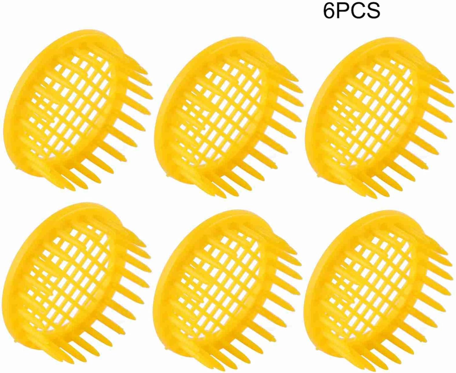 Bee Rearing Box Cell Beekeeping Equipment - 6 Pcs Bee Rearing Box, Beekeeping Tools for Isolation