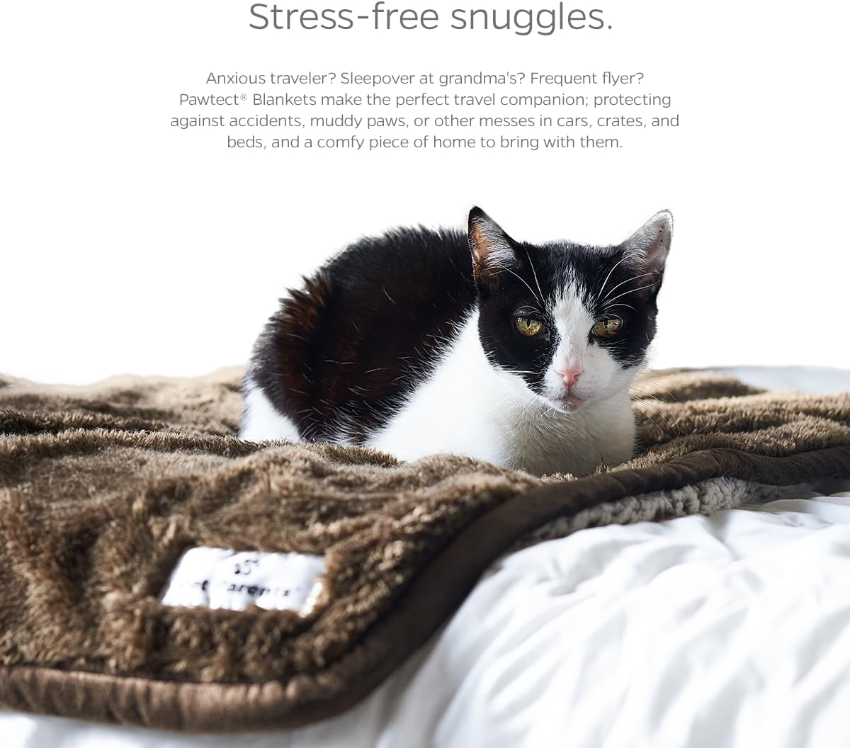 Pet Parents Pawtect Premium Waterproof Cat & Dog Blanket with Wickquick & Sherpup Technology, Puppy & Cat Blanket, Choc 32X40 image number 3