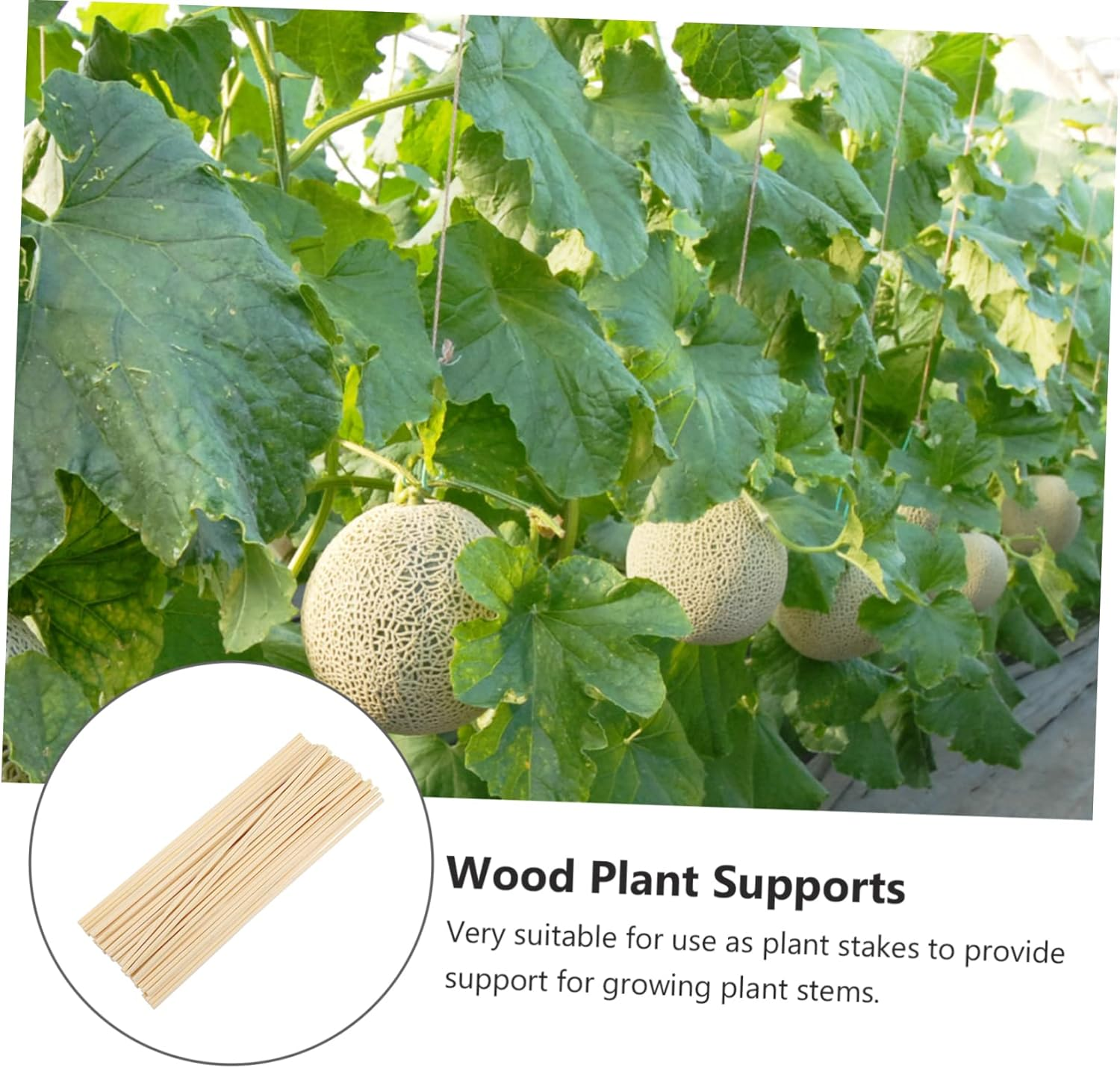 FUNOMOCYA 200Pcs Bamboo Sticks Garden Sticks Floral Plant Support Stakes Planting Supplies for Plant Growth Support DIY Gardening image number 3