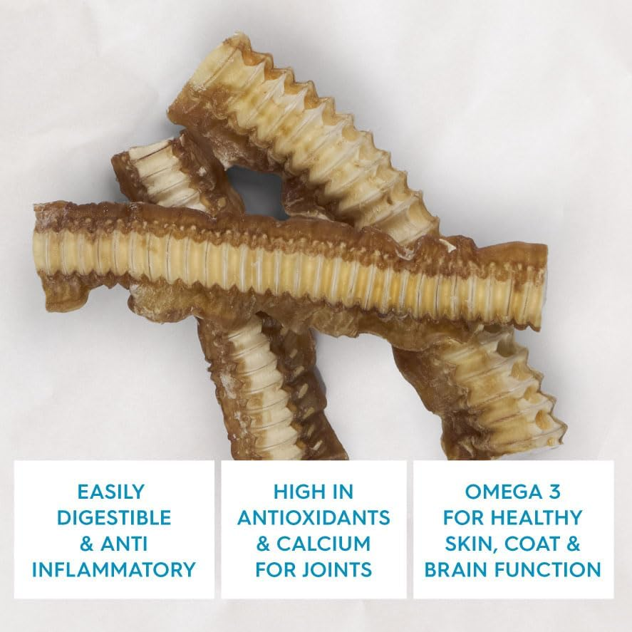 Kazoo Prime Cuts Shark Cartlige - 100G