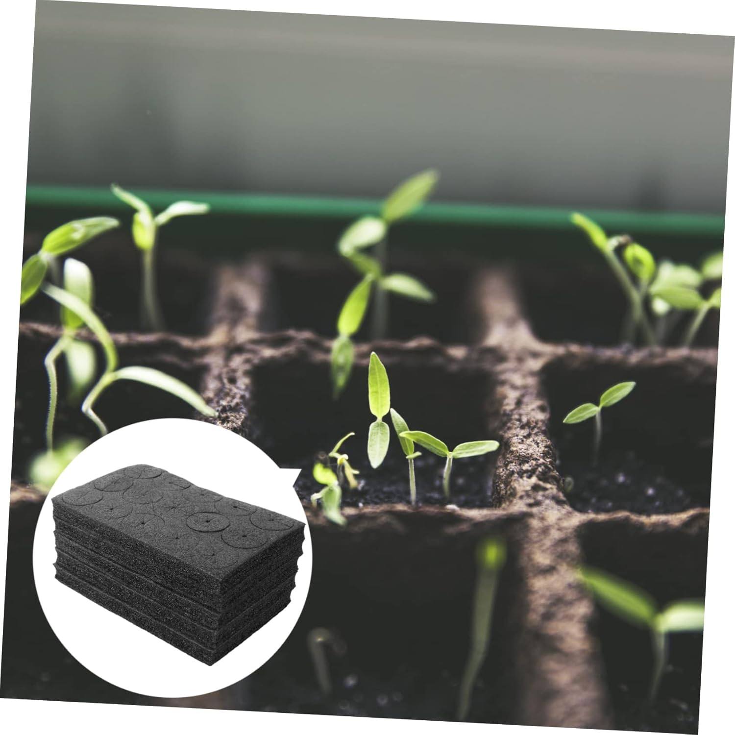 BESPORTBLE 225Pcs Hydroponic Planter Sponge for Vegetable Cultivation Greenhouse Hydroponic Sponge Garden for Home Growing System