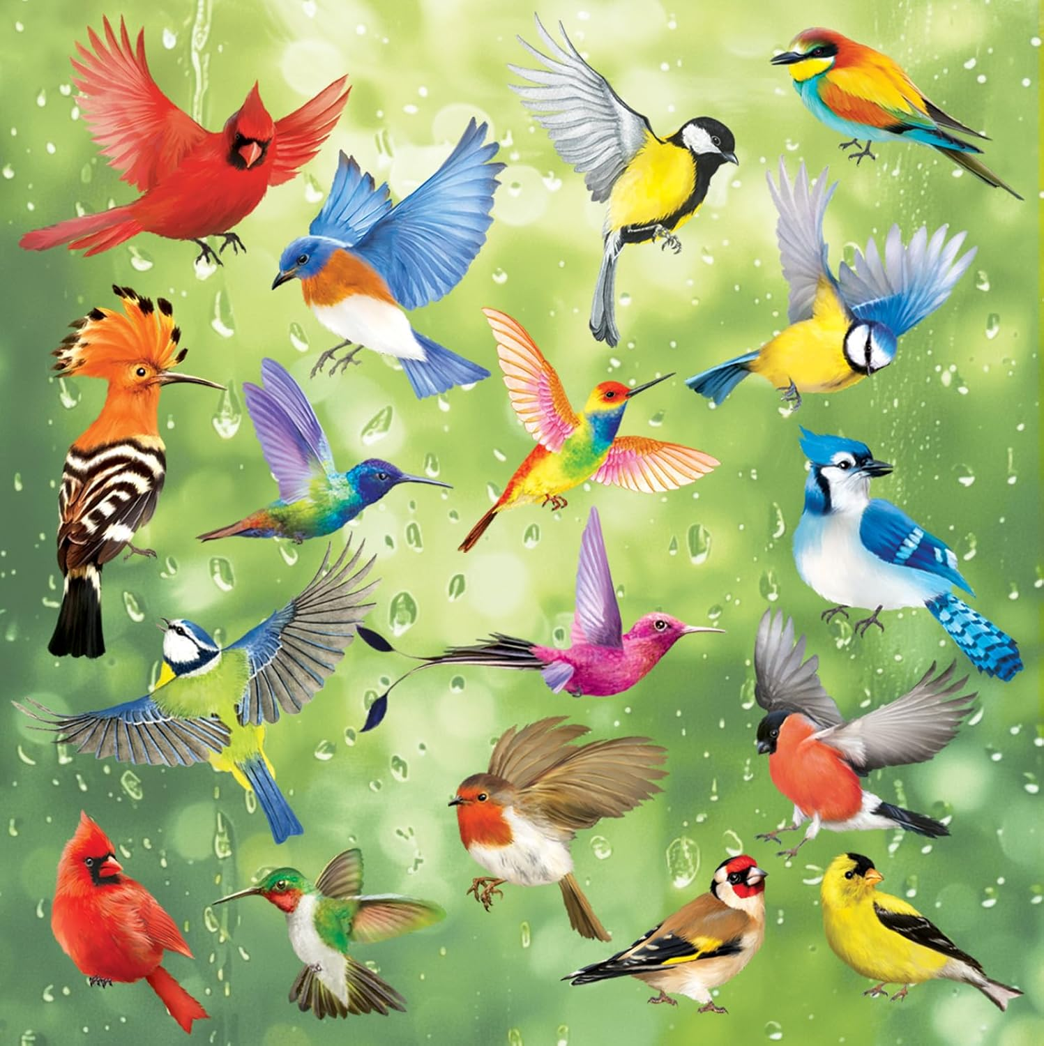 DECOWALL CDS4-9003 Beautiful Birds Static Cling Window Stickers Reuseble for Prevent Glass Flying Anticollision Bird Strike Decals - Double Sided Print Set of 17 Birds image number 6